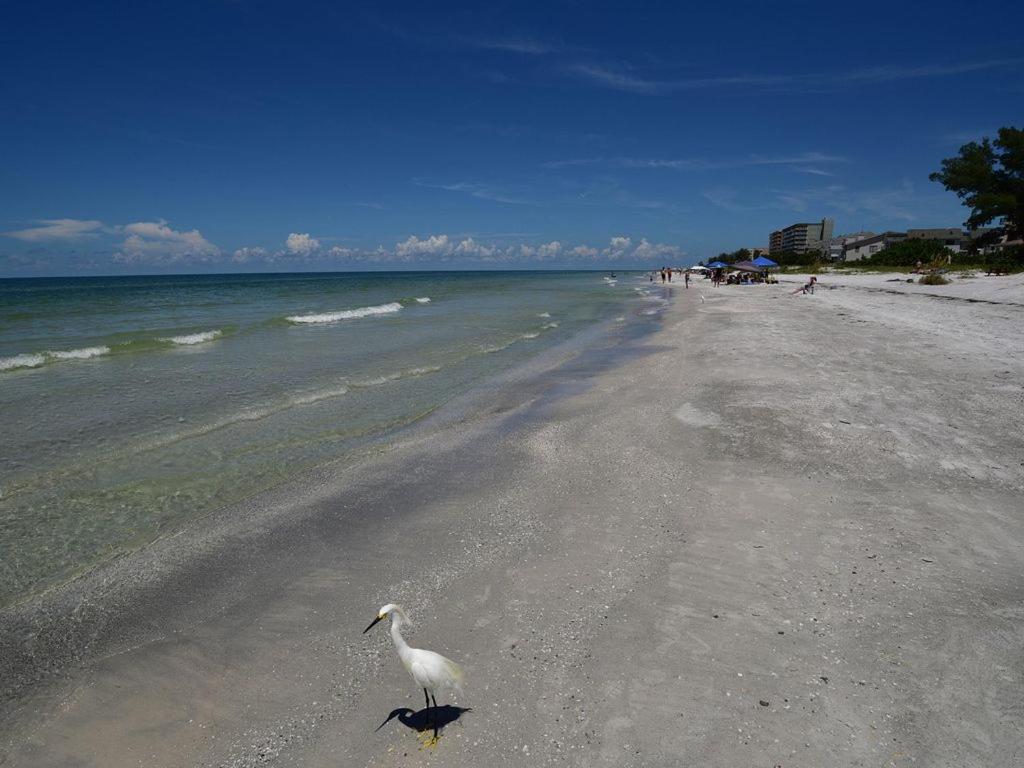 Gulf Retreat 2: Magnificent Water Views, Steps To Beach, None Cleaner, None Nicer! Clearwater Beach Zewnętrze zdjęcie